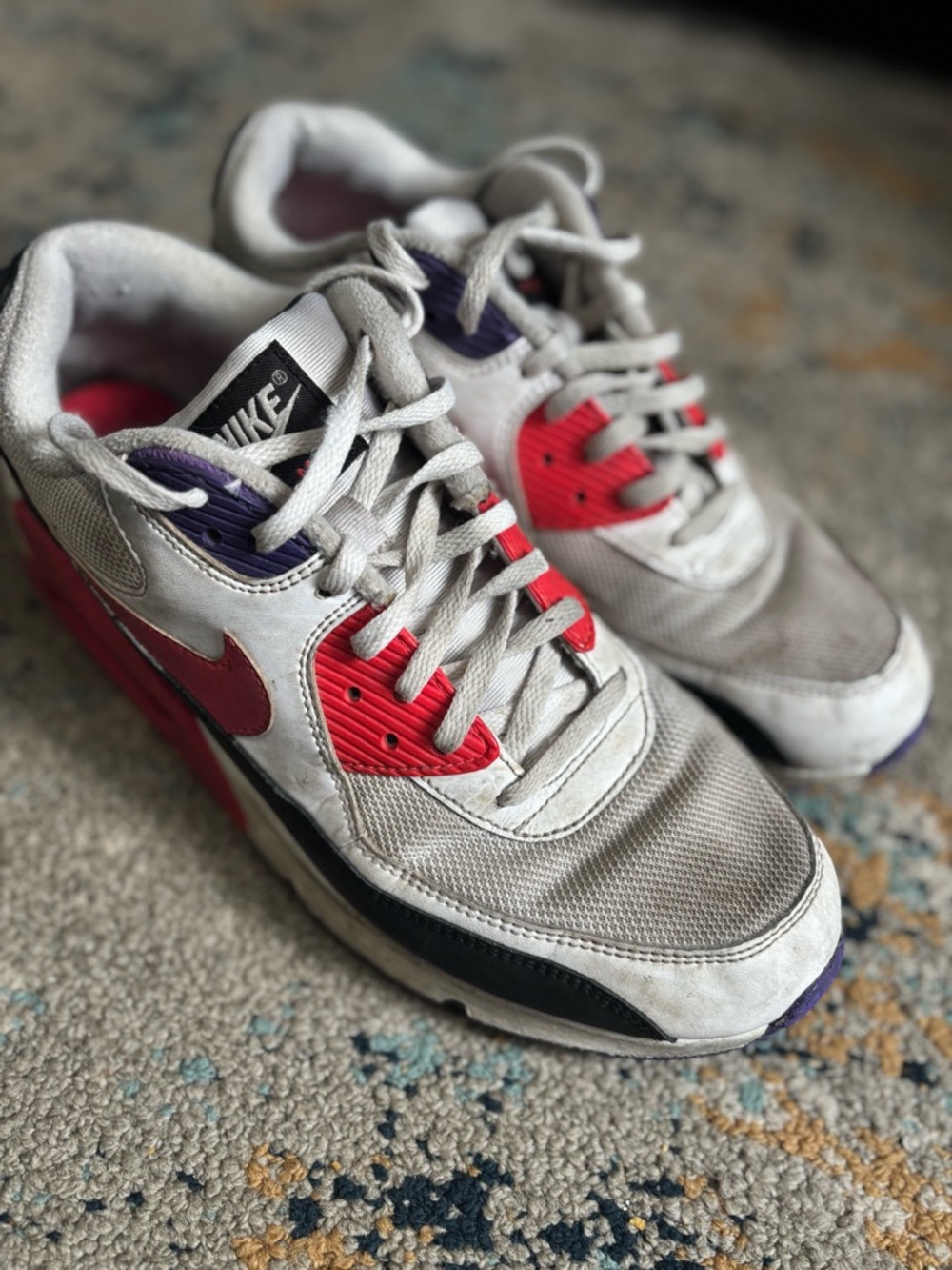 Men’s Nike Air Max 90 Raptors